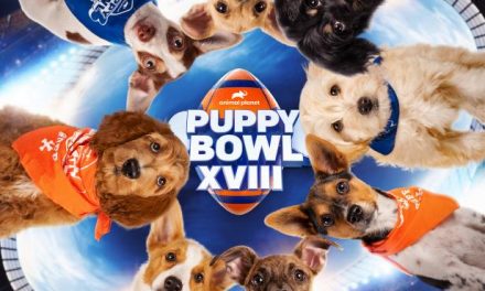 Martha Stewart and Snoop Dogg Returning to Host the Puppy Bowl