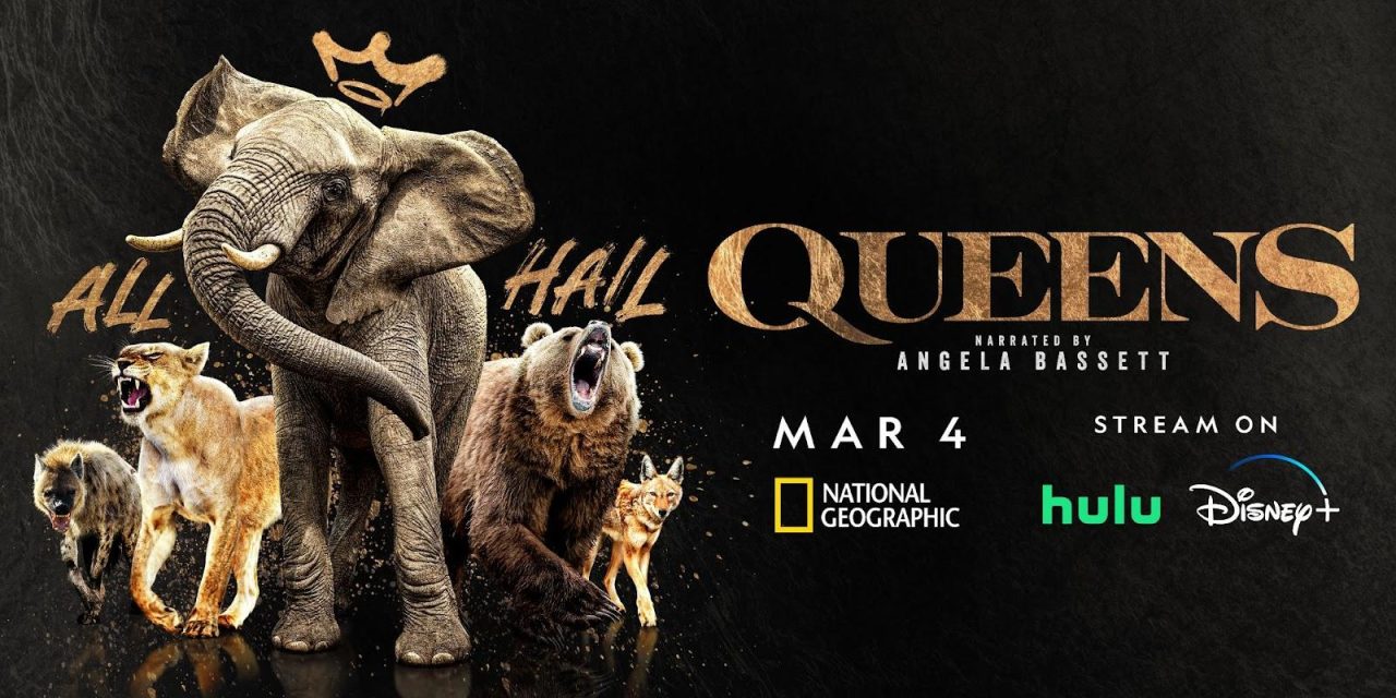 National Geographic Previews ‘Queens’ Series About Powerful Animal Matriarchs, Narrated By Angela Bassett