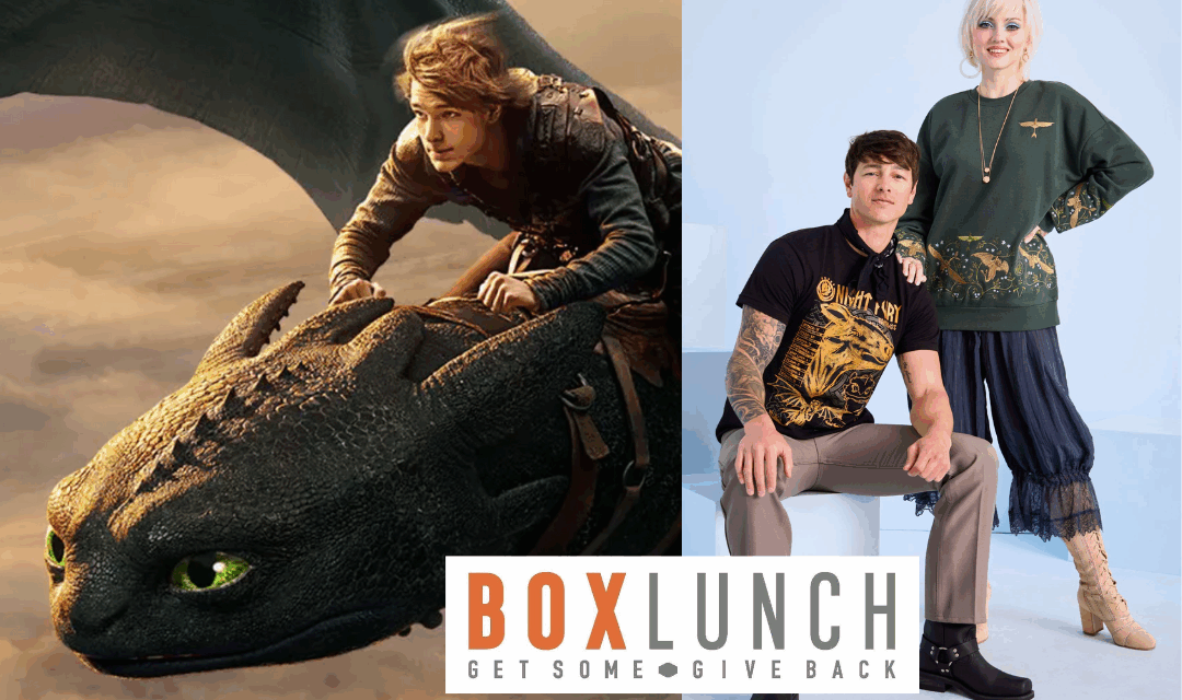 How to Train Your Dragon Merch Flies To BoxLunch